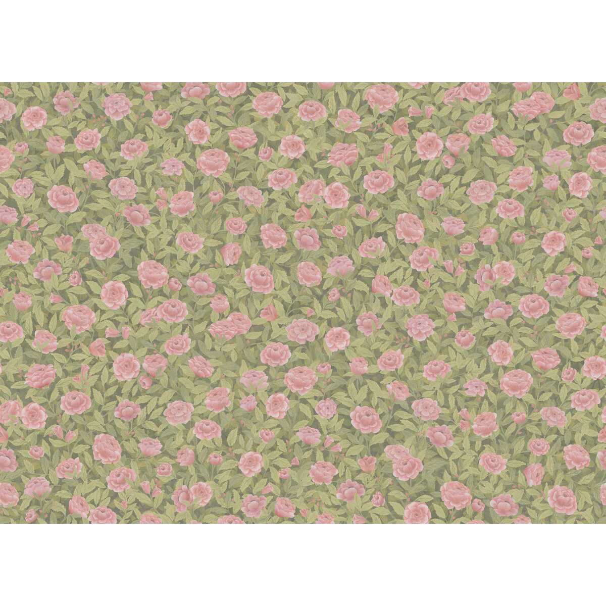 Idyll Roses Linen - Blush - COLE & SON Fabric