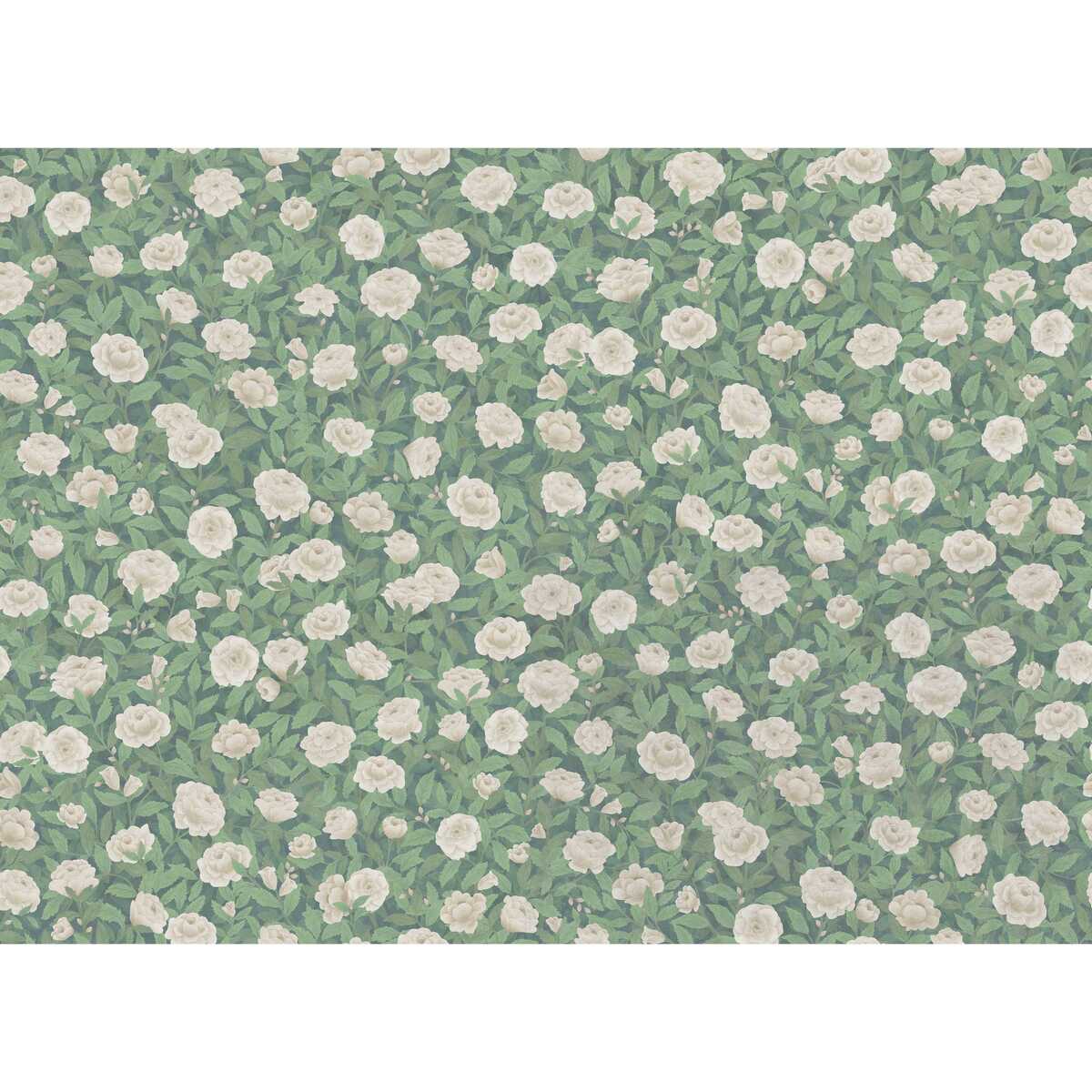 Idyll Roses Linen - Eaudenil - COLE & SON Fabric