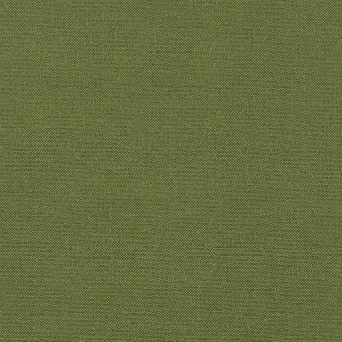Renzo - Forest - CLARKE AND CLARKE Fabric