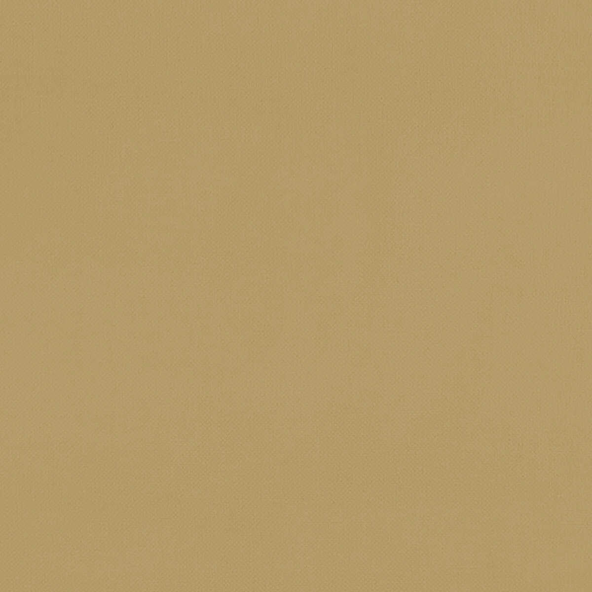 Renzo - Ochre