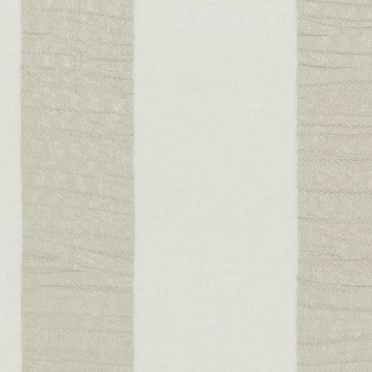 Lucido - Champagne - CLARKE AND CLARKE Fabric
