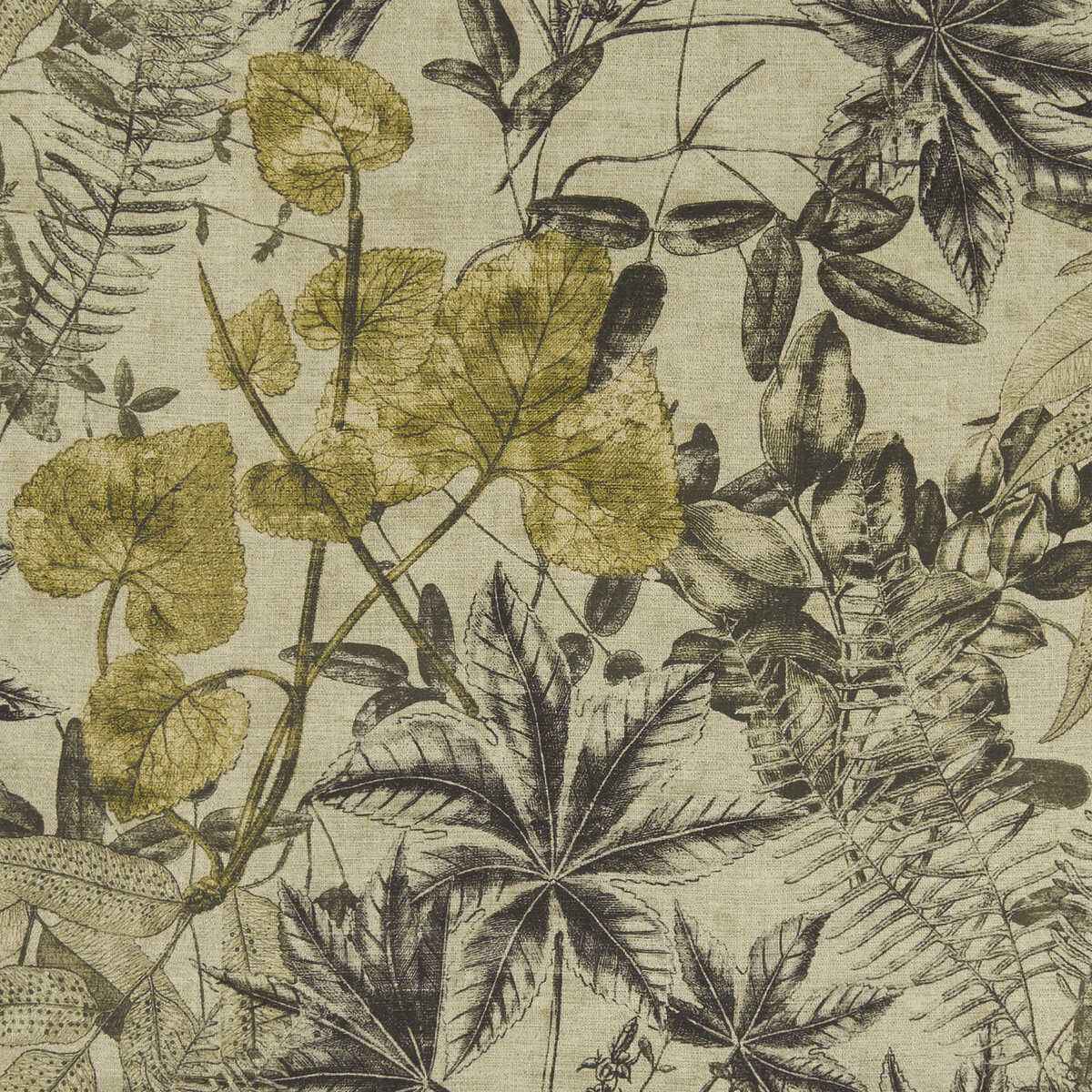 F130101cac0 Madagascar Charcoal Charteuse Clarke And Clarke Fabric