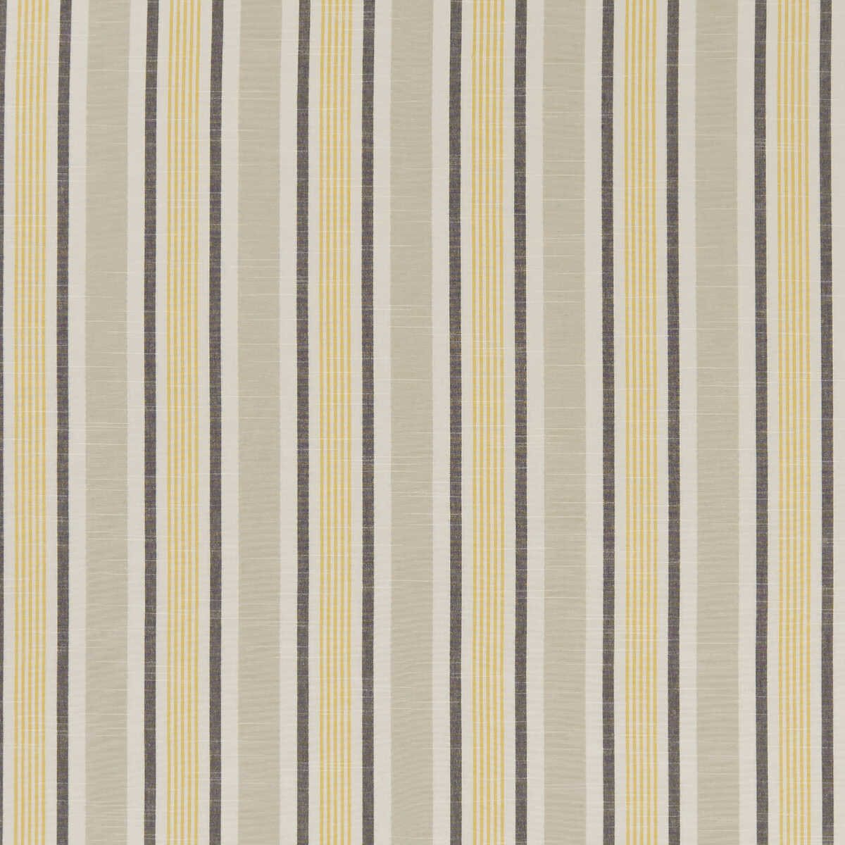 Mappleton - Ochre - CLARKE AND CLARKE Tela