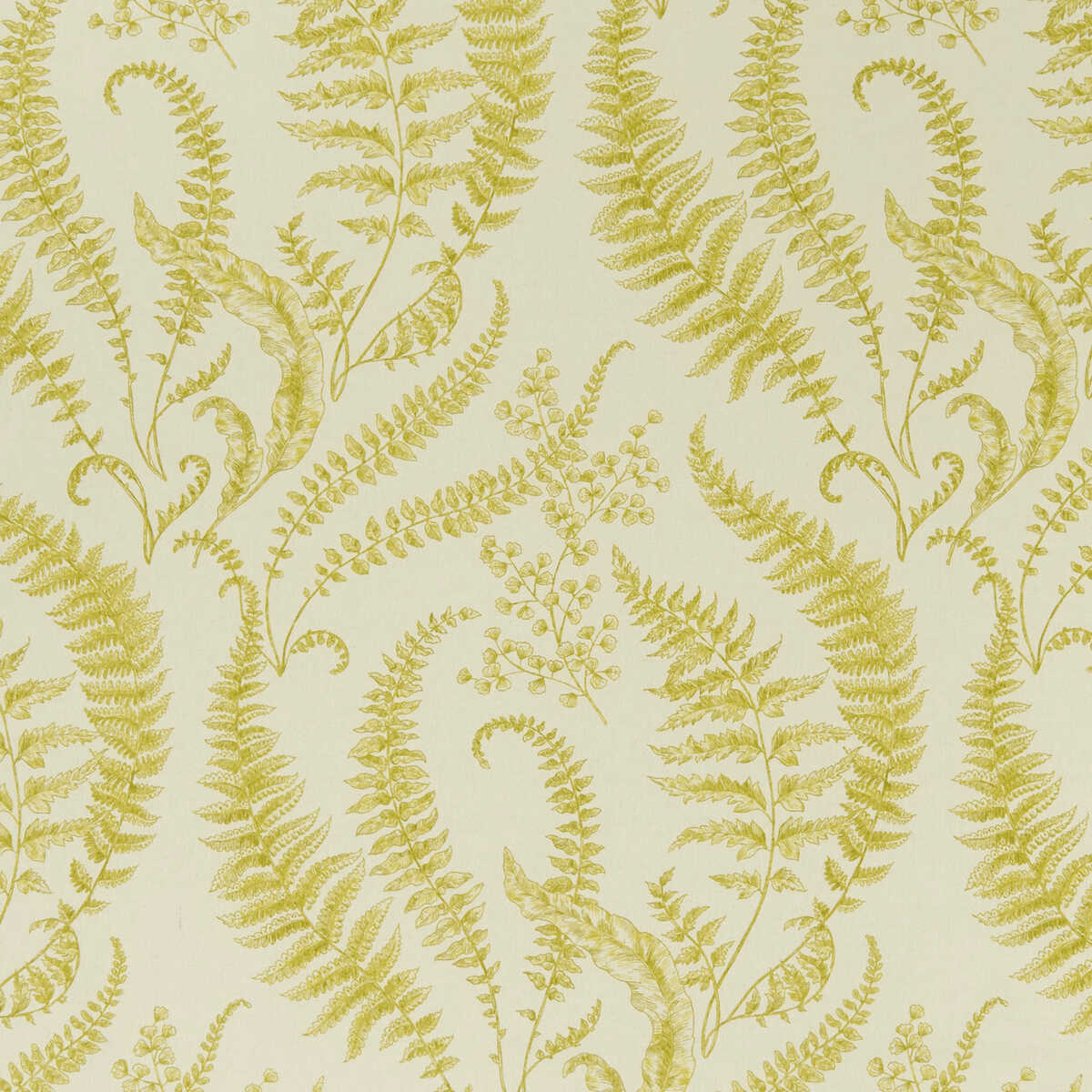 Folium - Chartreuse - CLARKE AND CLARKE Fabric