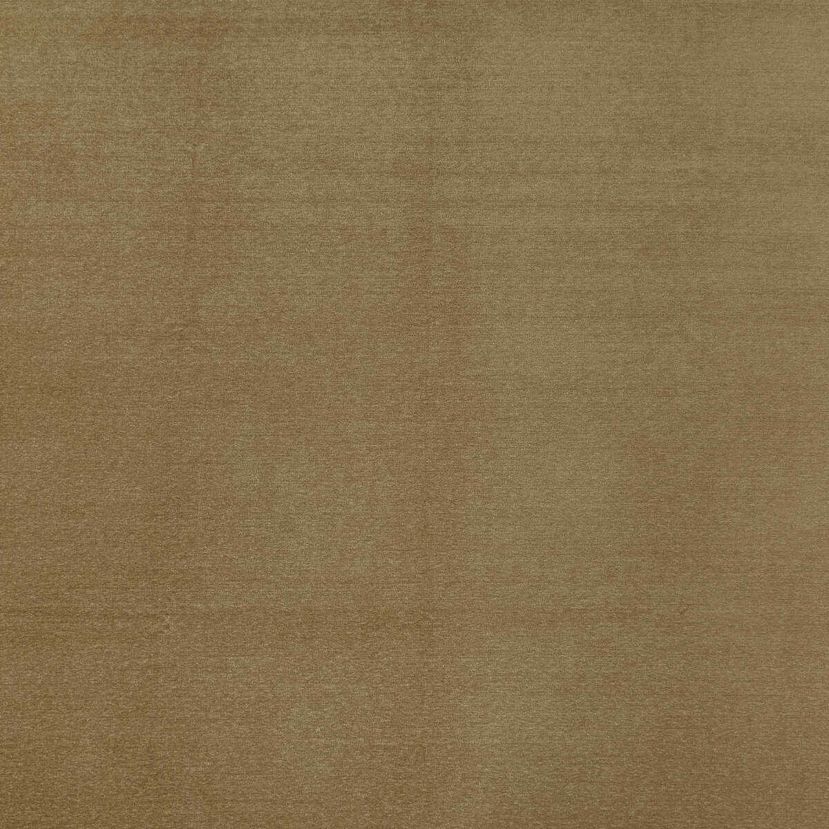 Maculo - Taupe - CLARKE AND CLARKE Tela