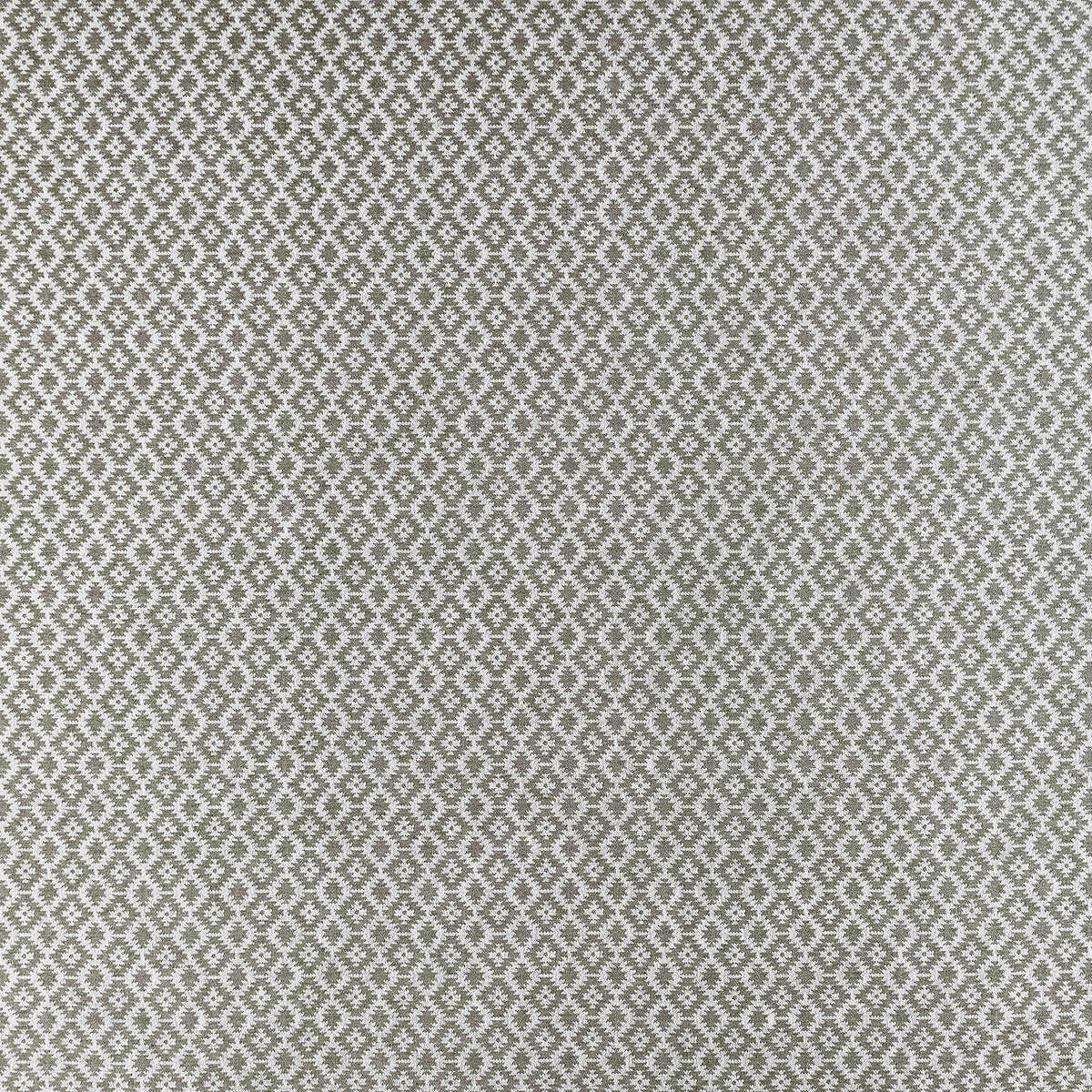 Mono - Charcoal - CLARKE AND CLARKE Fabric