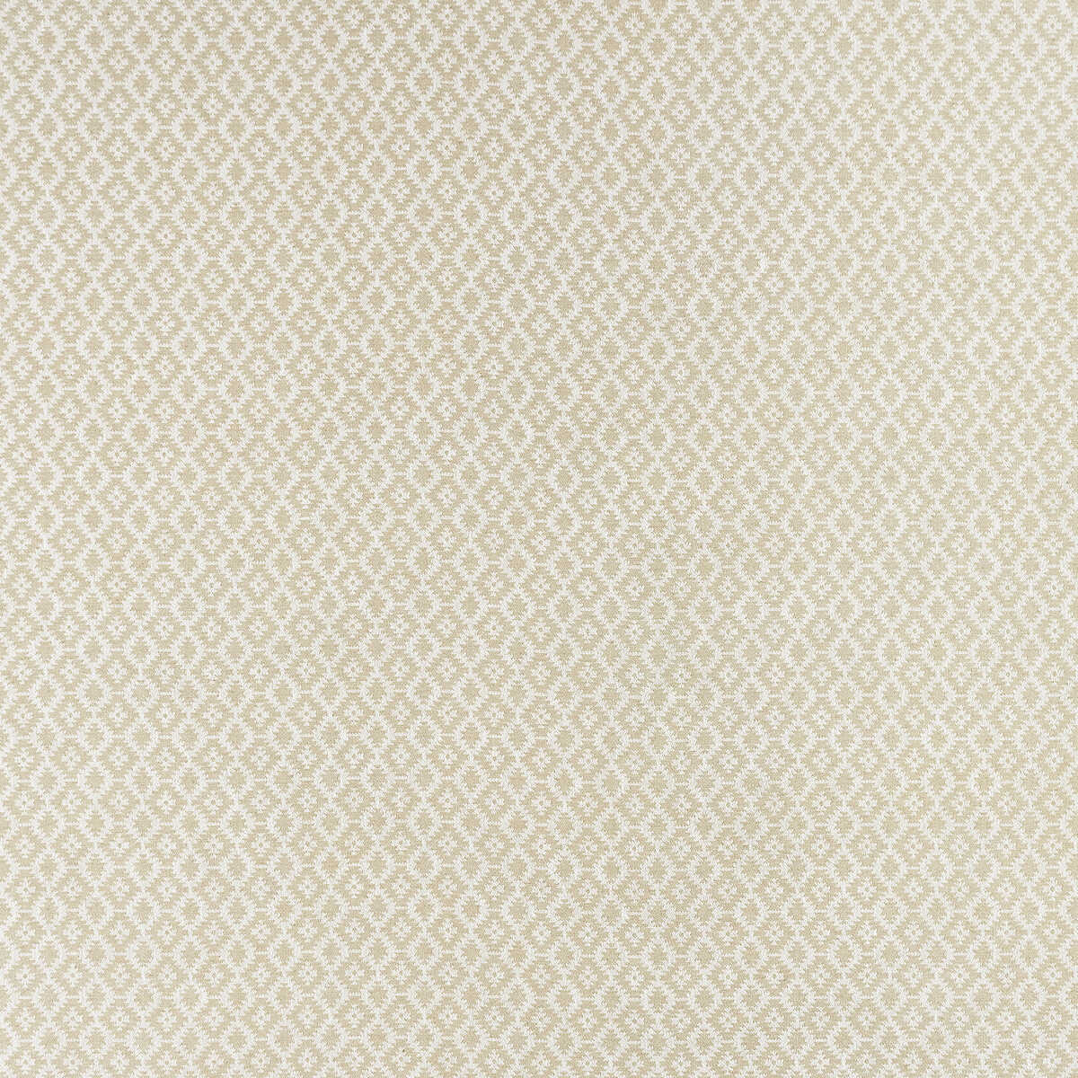 Mono - Ivory/Linen - CLARKE AND CLARKE Fabric