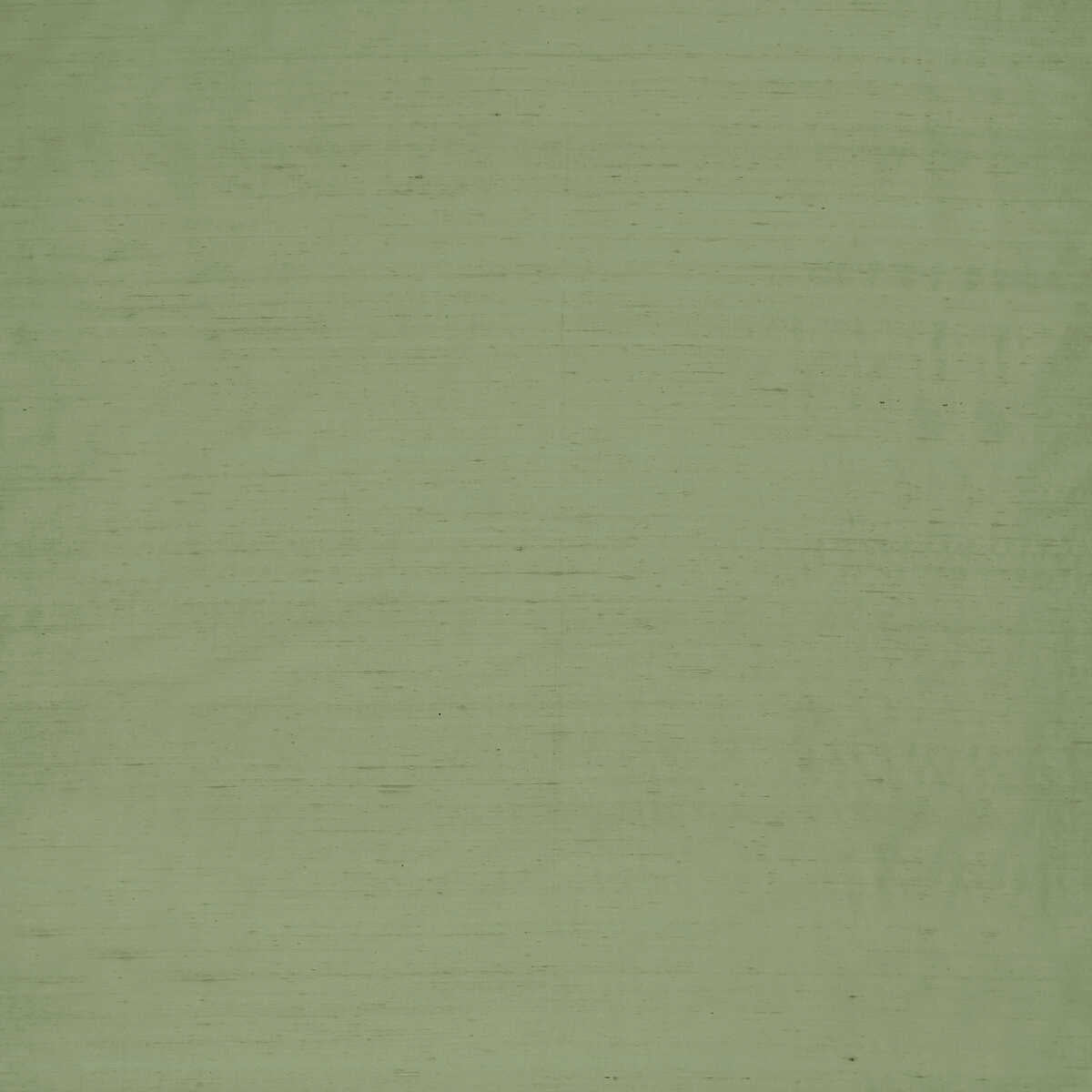 Slyph - Pistachio - CLARKE AND CLARKE Fabric