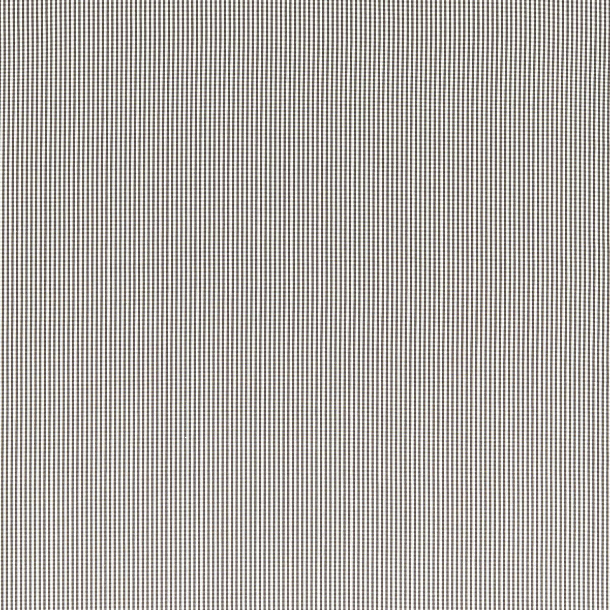 Windsor - Charcoal - CLARKE AND CLARKE Fabric