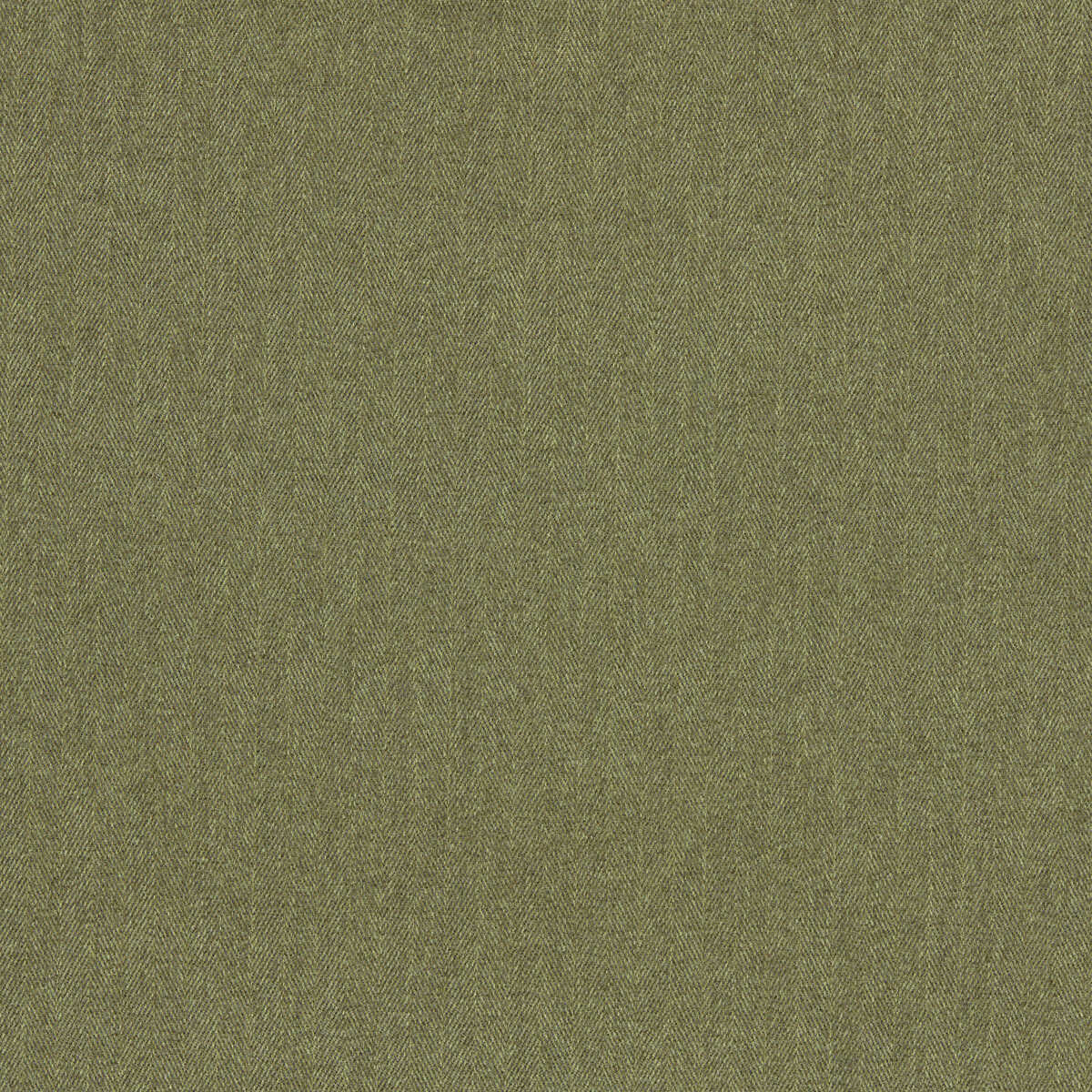 Rowland - Moss - CLARKE AND CLARKE Fabric