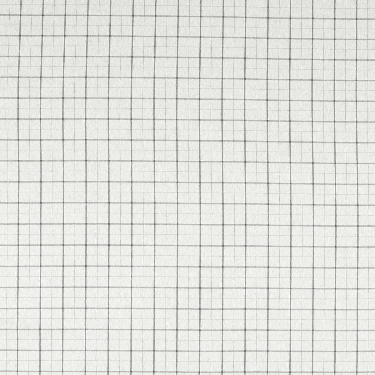 Thornton - Silver - CLARKE AND CLARKE Fabric