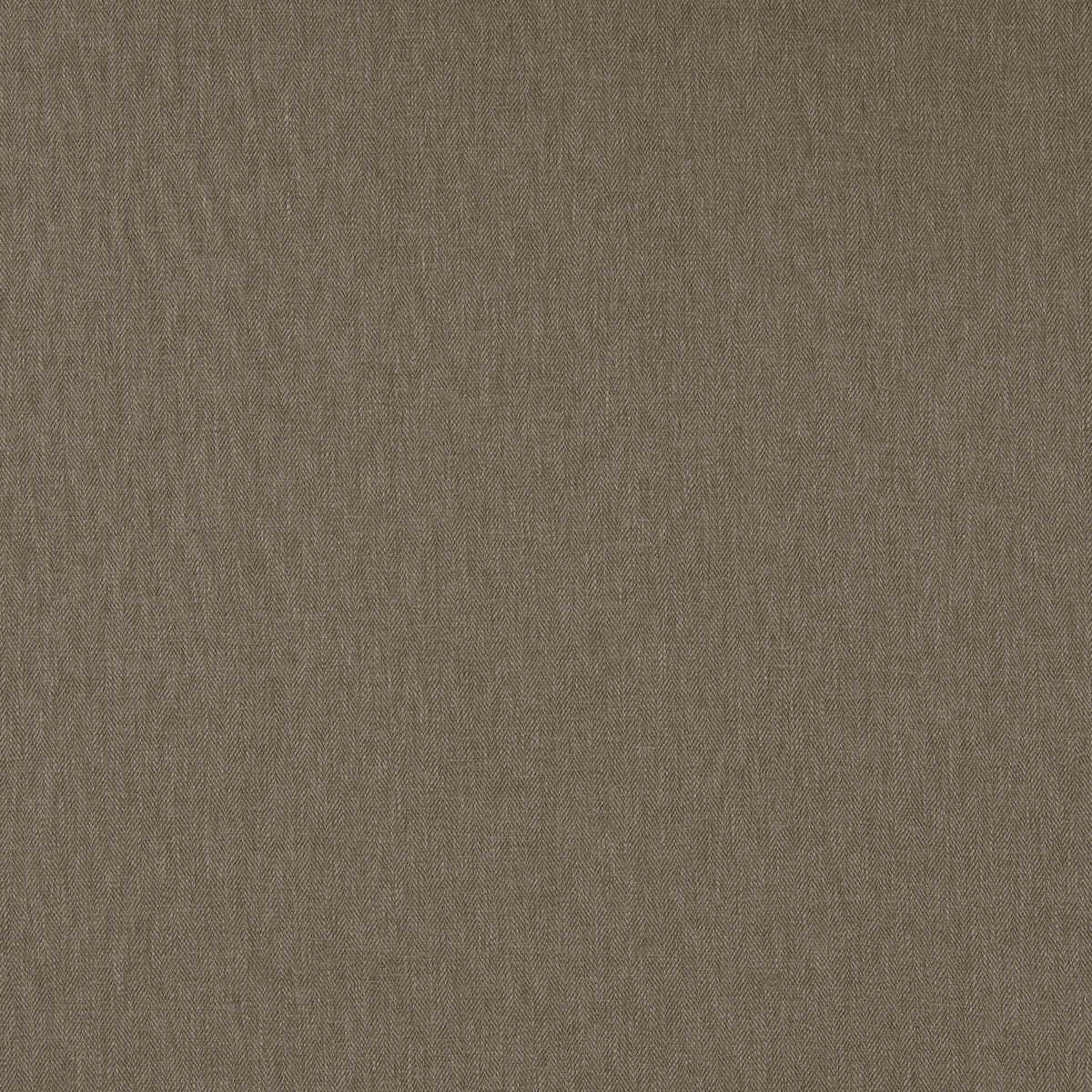 Orla - Putty - CLARKE AND CLARKE Fabric