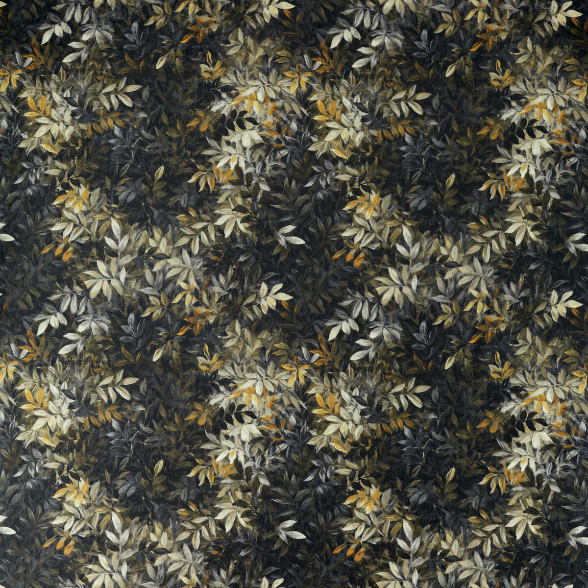 Congo - Noir Velvet