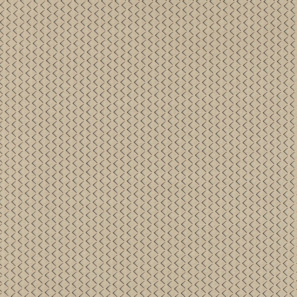 Equator - Natural - CLARKE AND CLARKE Fabric