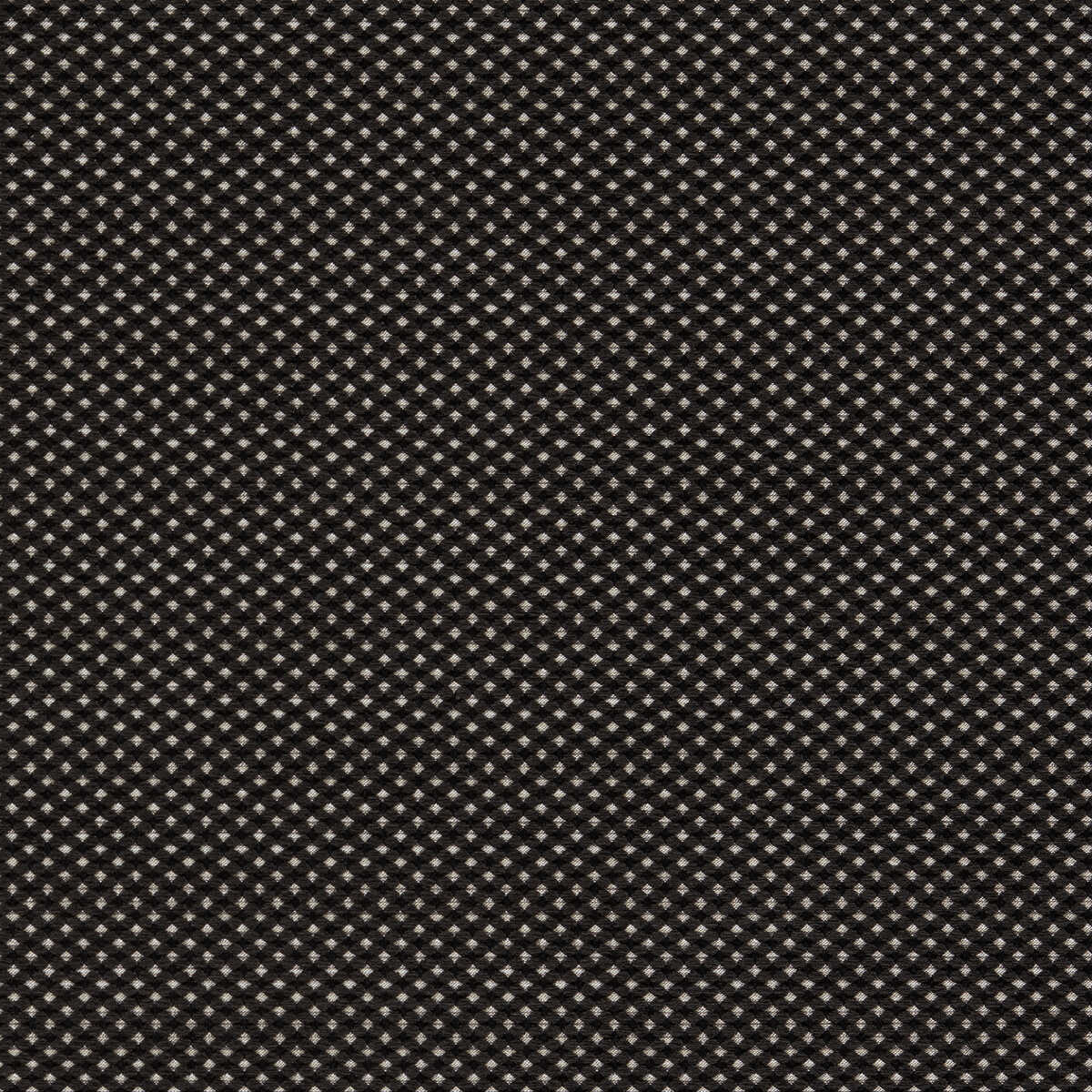 Pavo - Noir