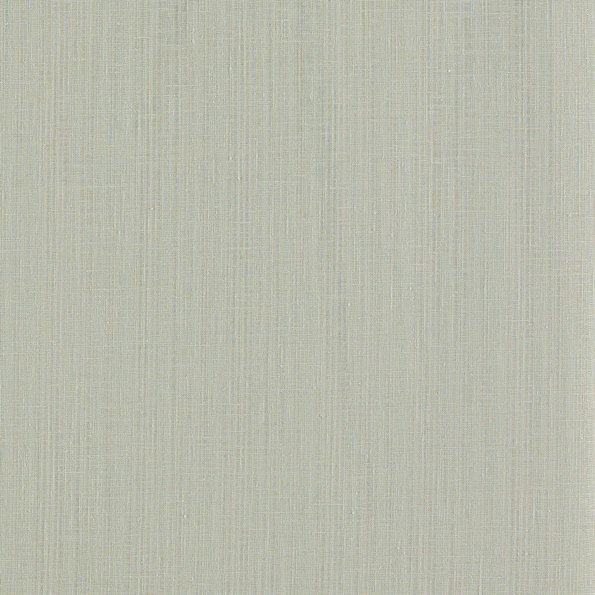 Remo - Smoke - CLARKE AND CLARKE Fabric