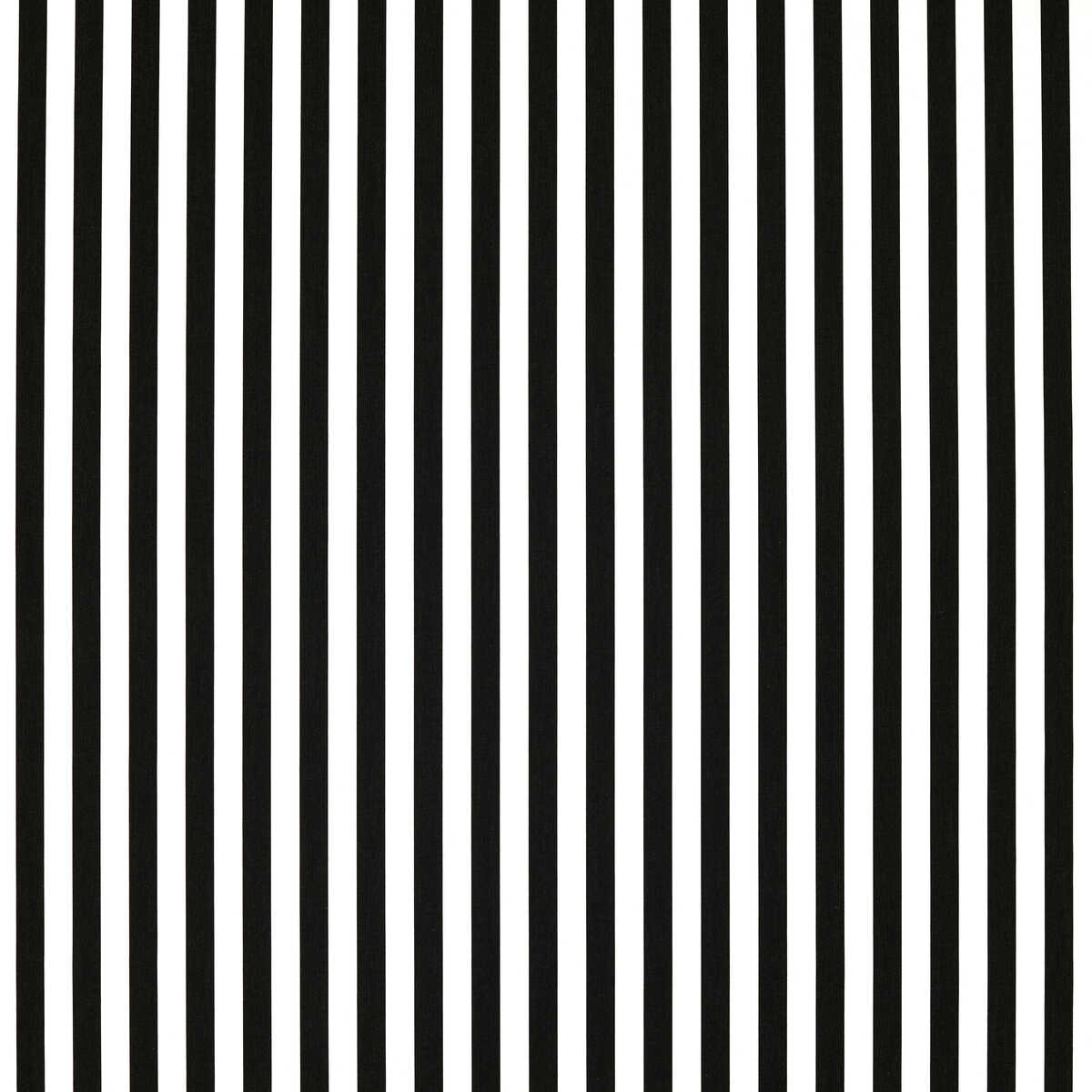 Sicily - Ebony - CLARKE AND CLARKE Fabric