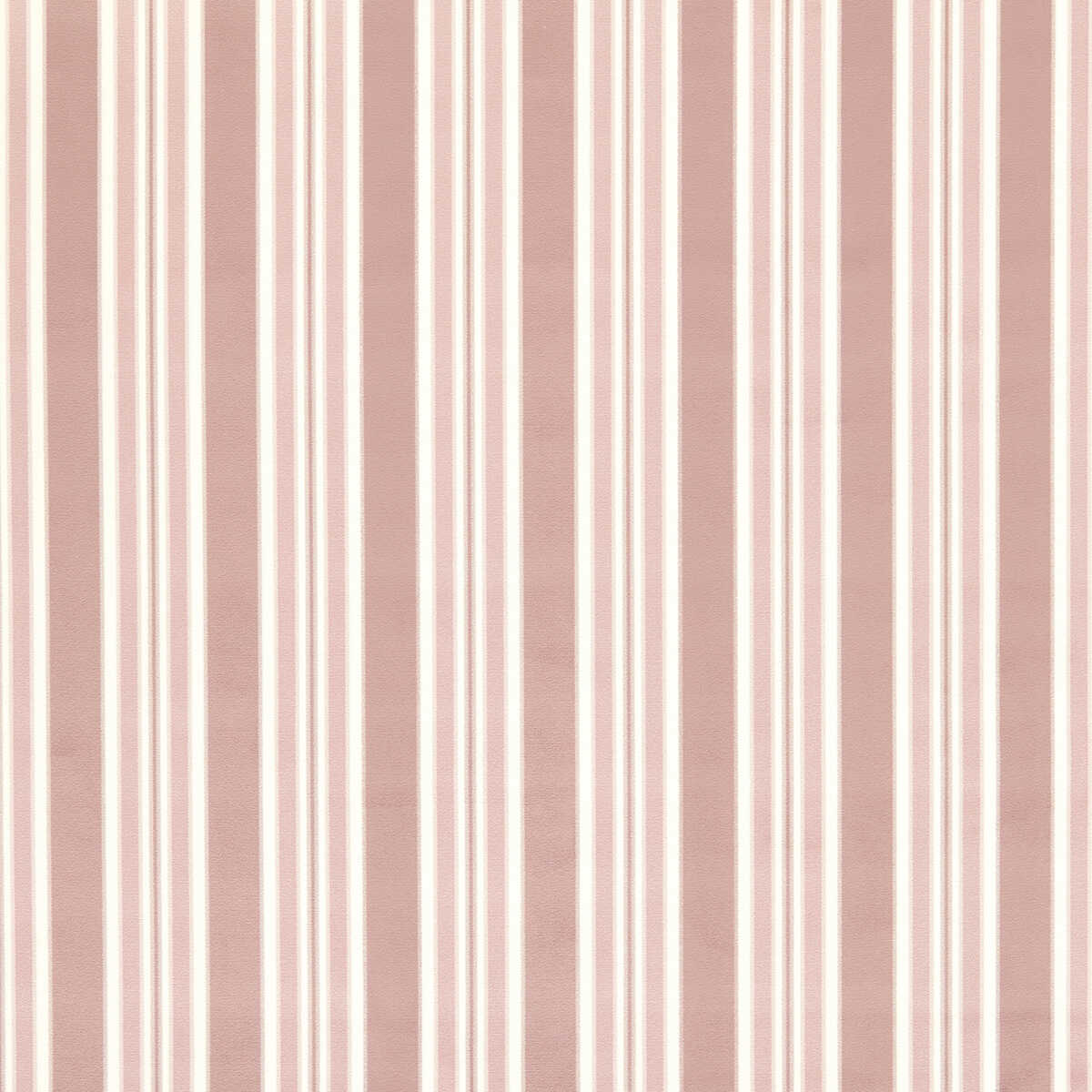 Wilmott - Blush