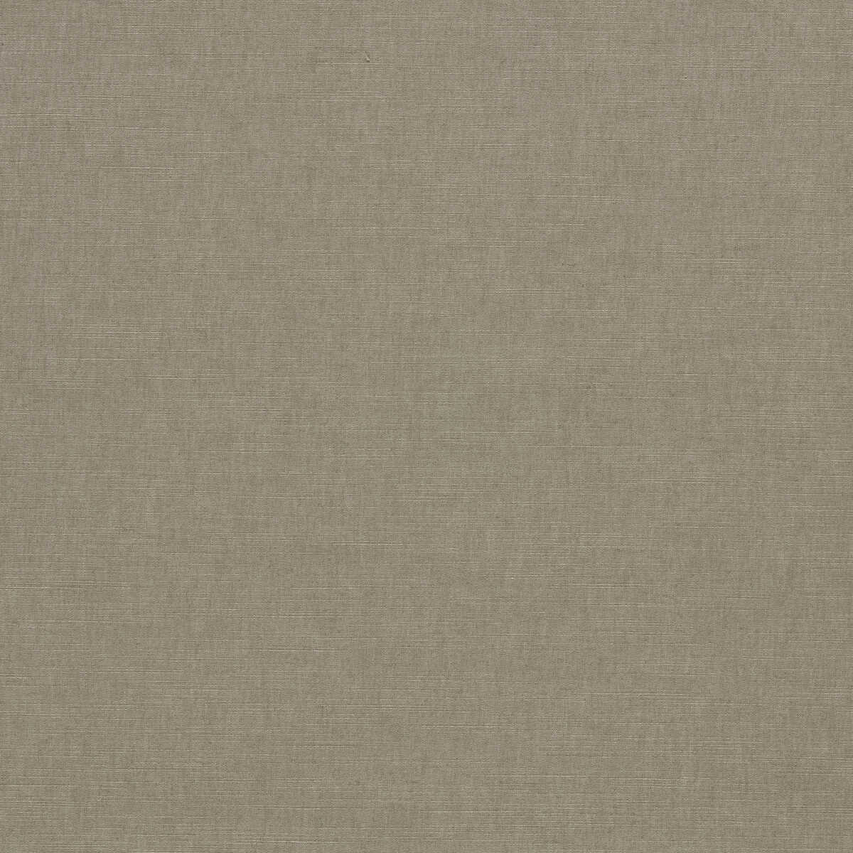 Paradiso - Ash - CLARKE AND CLARKE Fabric