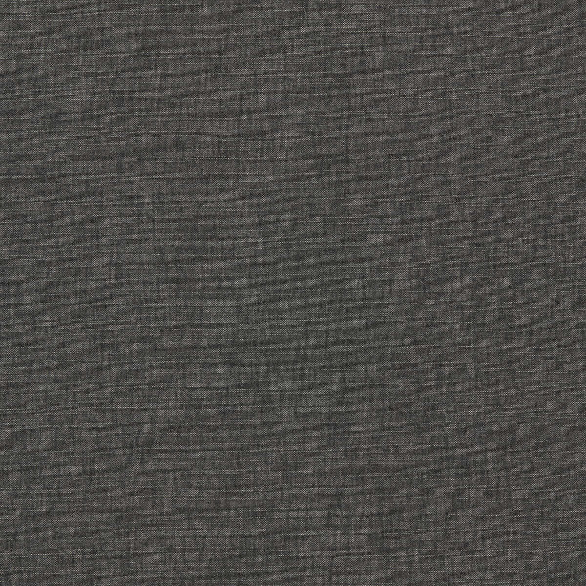 Paradiso - Charcoal - CLARKE AND CLARKE Fabric