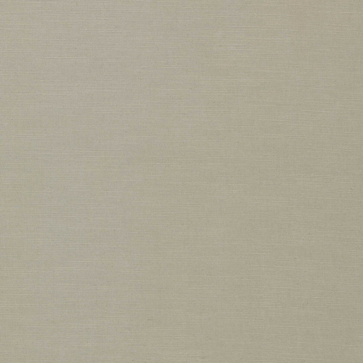 Paradiso - Dove - CLARKE AND CLARKE Fabric
