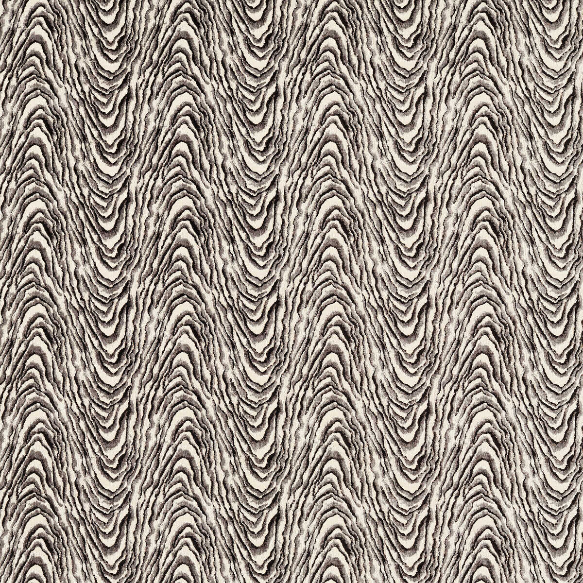 Delvoye Velvet - Noir - CLARKE AND CLARKE Fabric