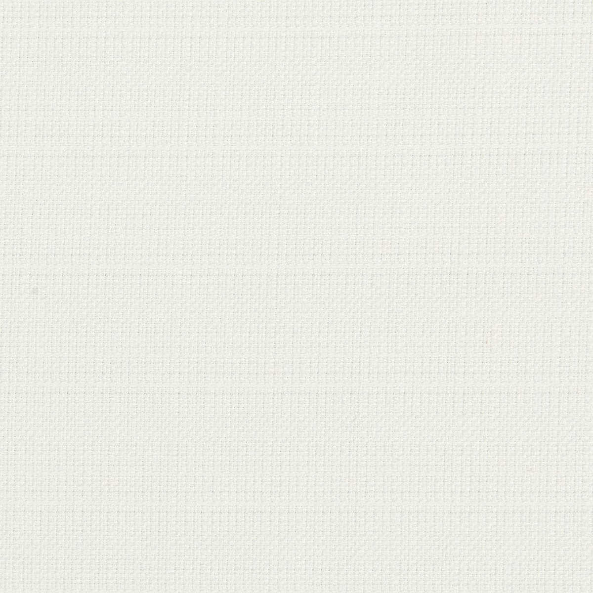 Linoso Wide Width - Polar - CLARKE AND CLARKE Fabric