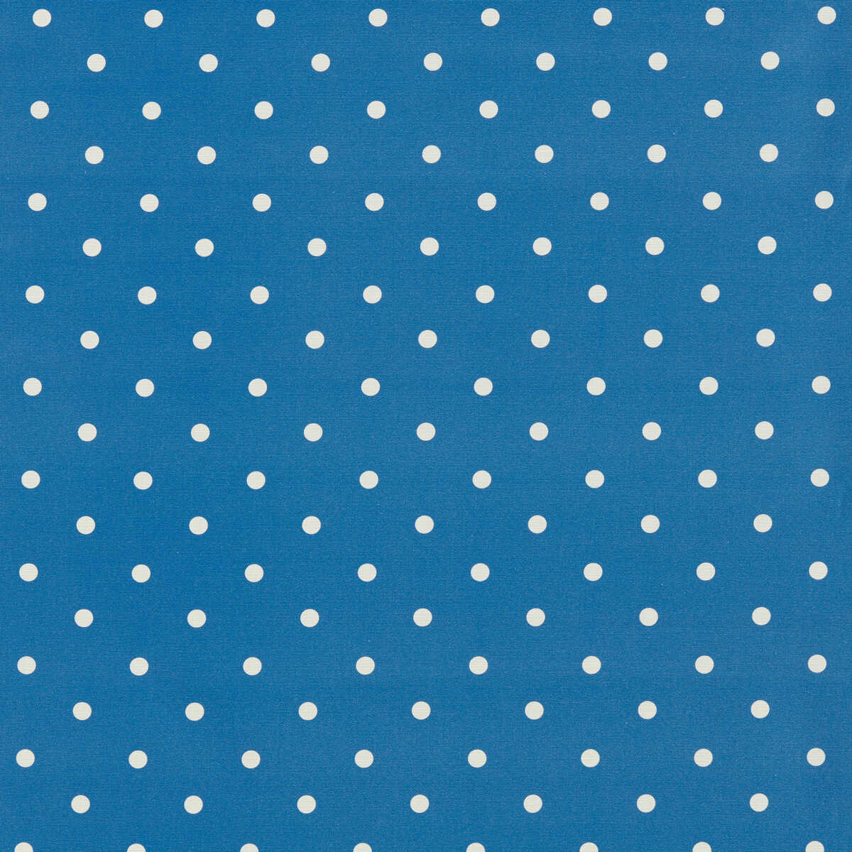 Dotty - Cobalt