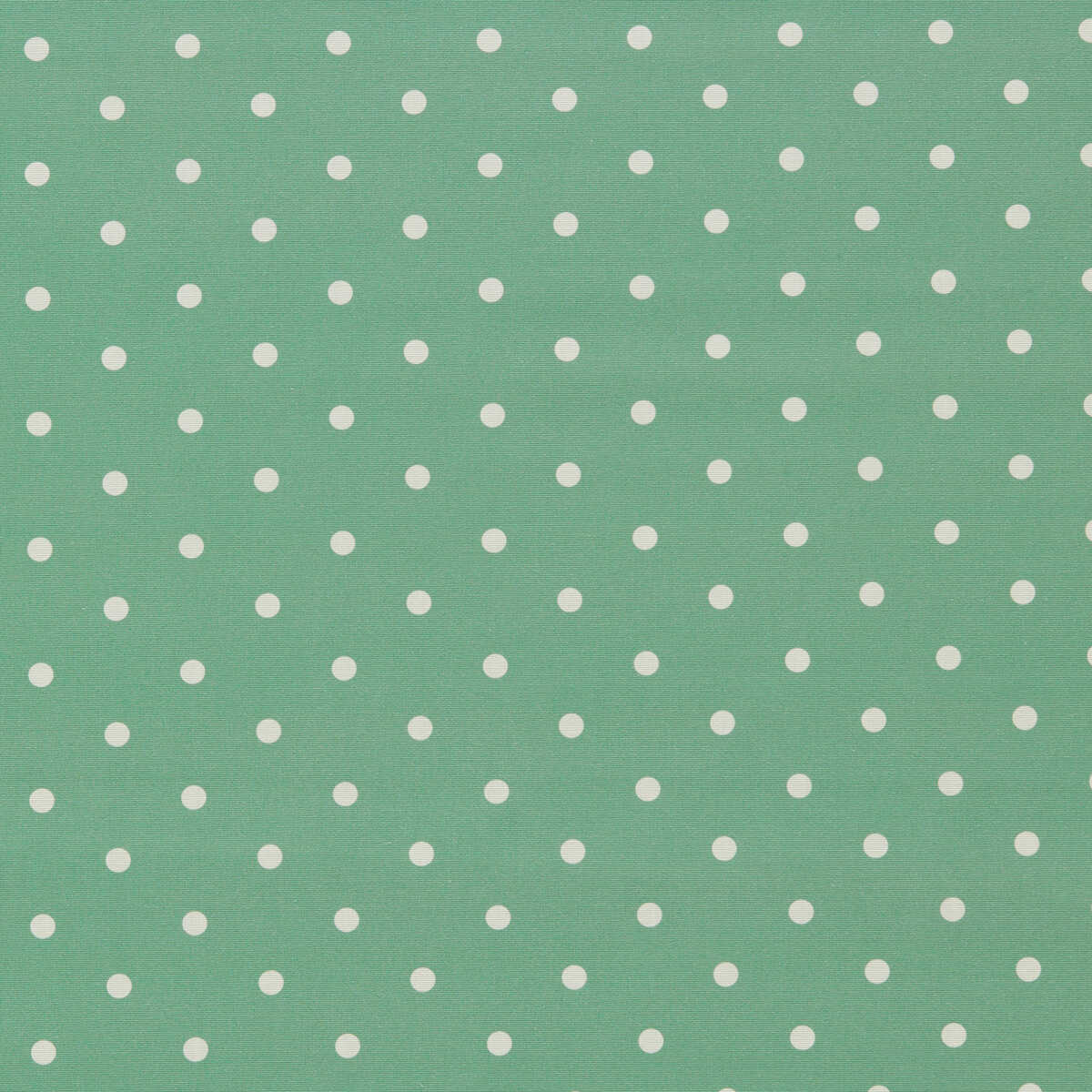 Dotty - Jade