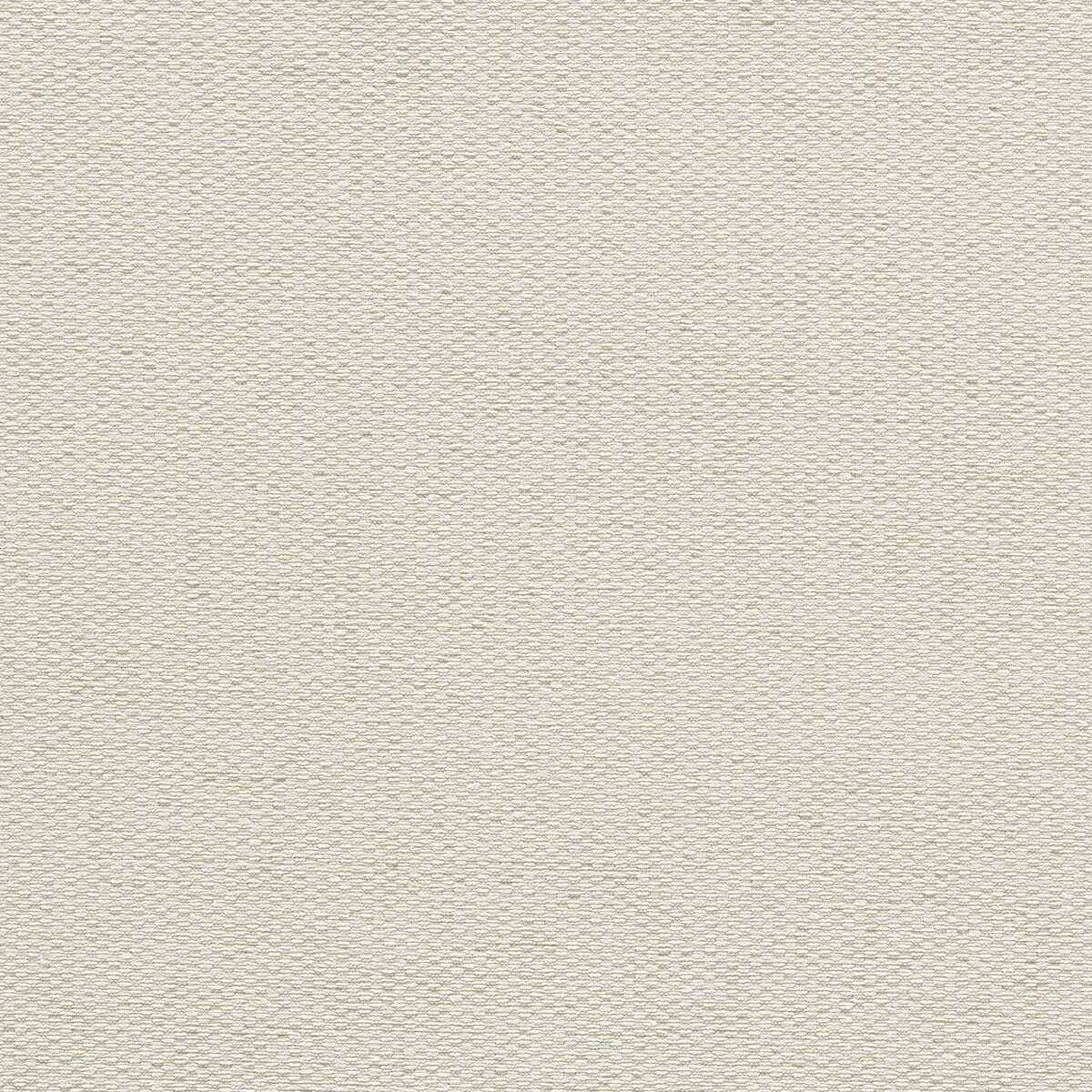 F179103cac0 Tergo Ivory Clarke And Clarke Fabric