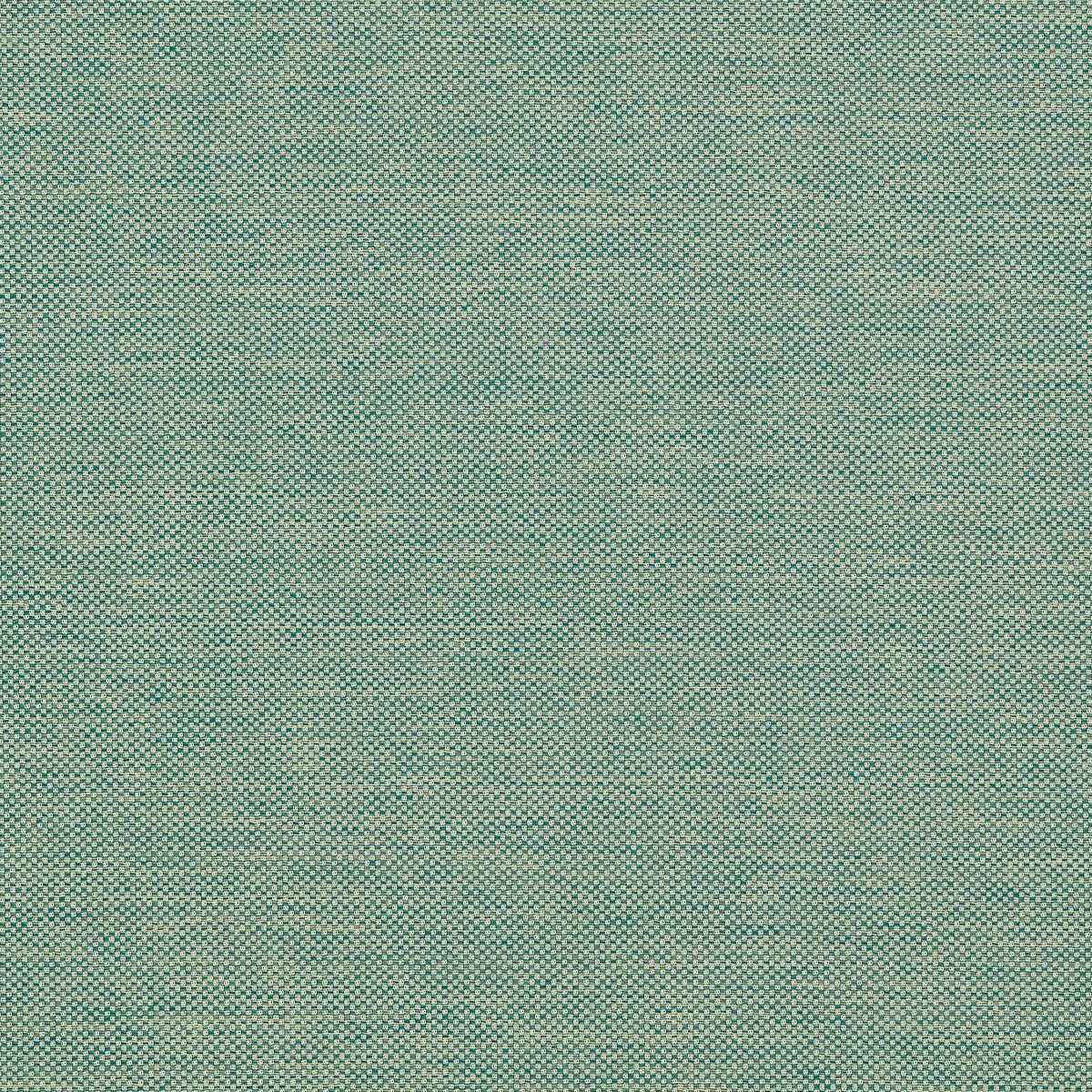 F179403cac0 Cameron Forest Clarke And Clarke Fabric