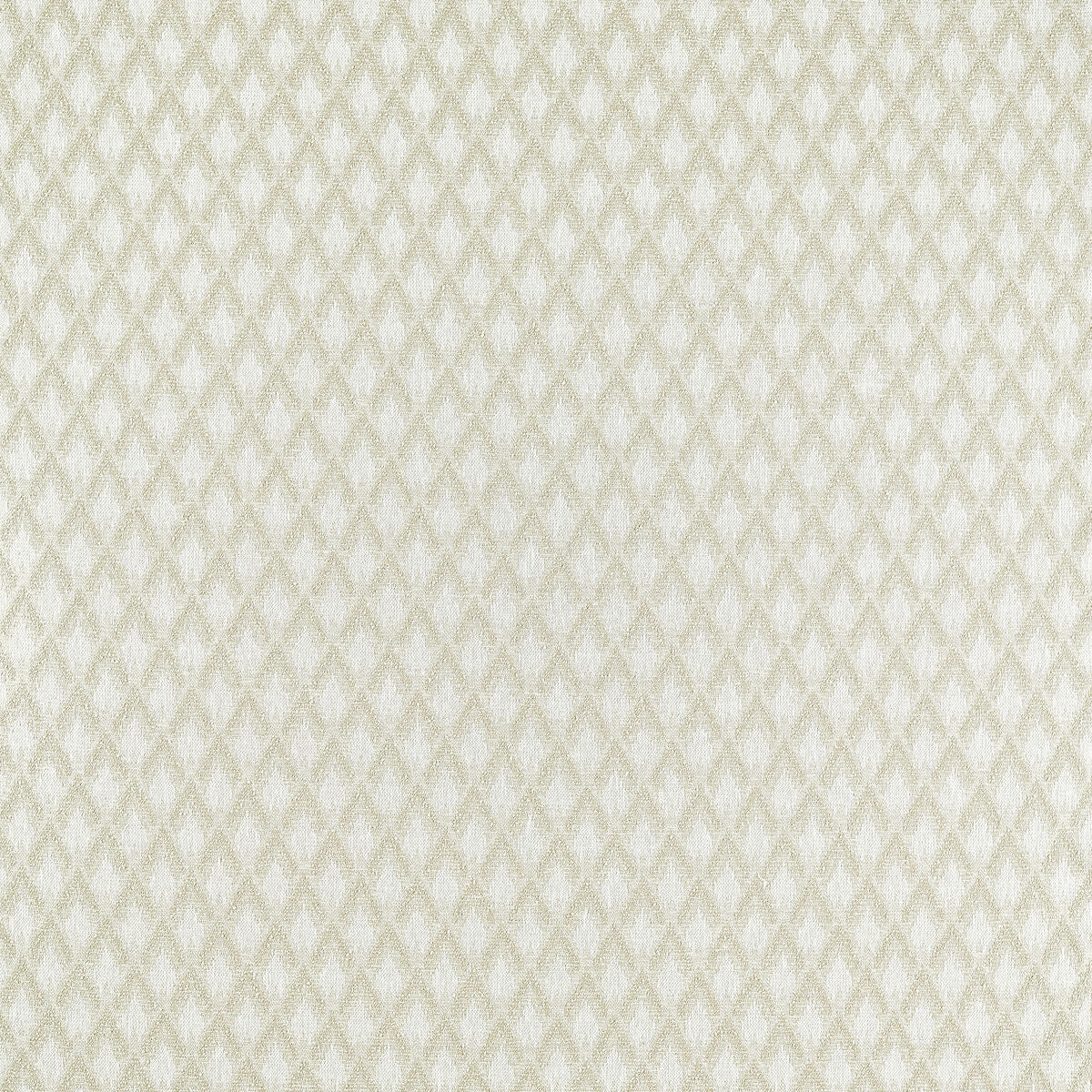 Torre - Ivory - Clarke And Clarke Fabric
