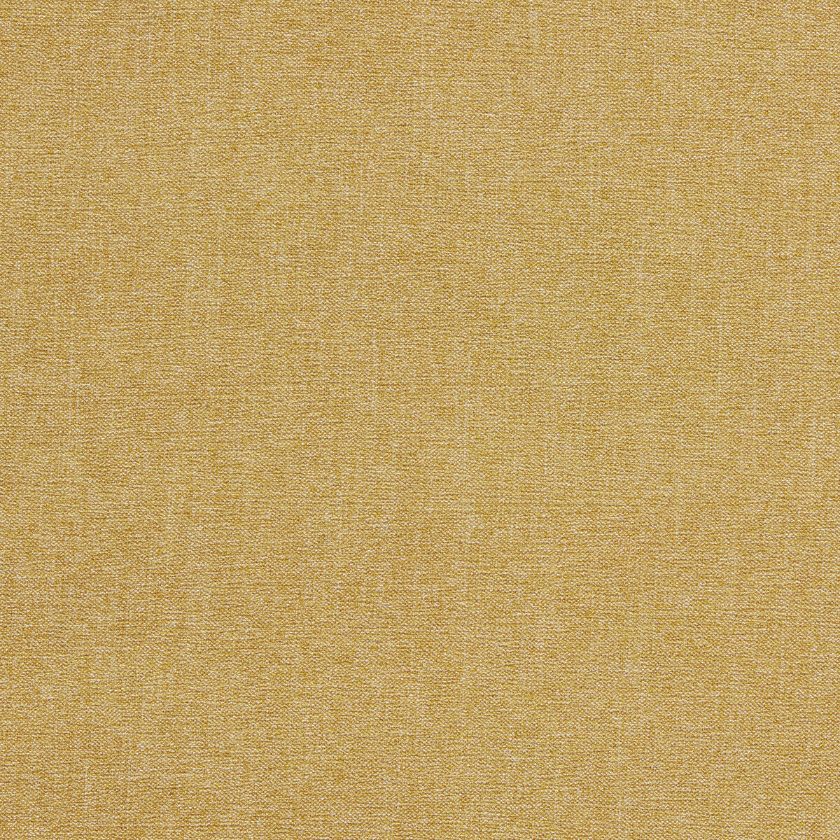 Jaipur - Antique - Clarke And Clarke Fabric