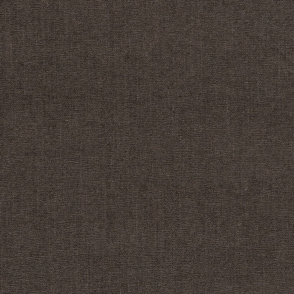 Jaipur - Espresso - Clarke And Clarke Fabric