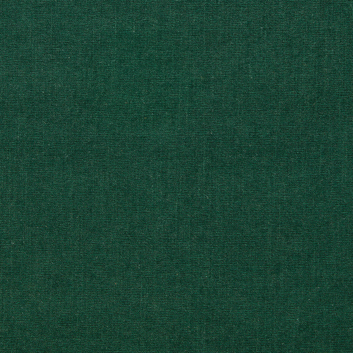 Jaipur - Forest - Clarke And Clarke Fabric