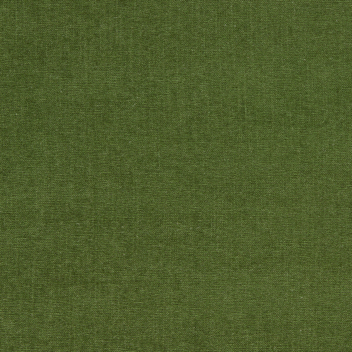 Jaipur - Herb - Clarke And Clarke Fabric