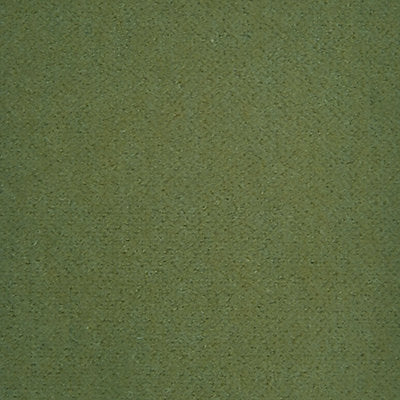 Trianon Velvet Ii - Vert Persan - Scalamandre Fabric