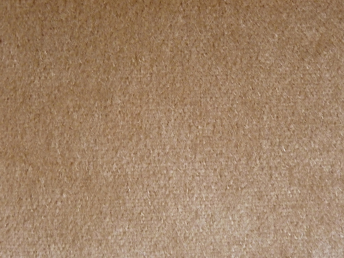 Inuit Mohair - Beige - Scalamandre Fabric
