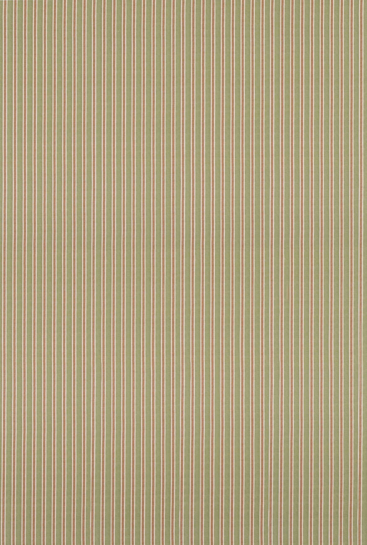 Somerton Stripe - Green