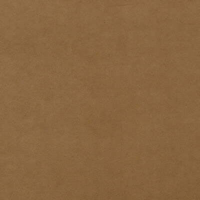 Forte Suede - Spice - FD514.6616.0 - Mulberry Fabric