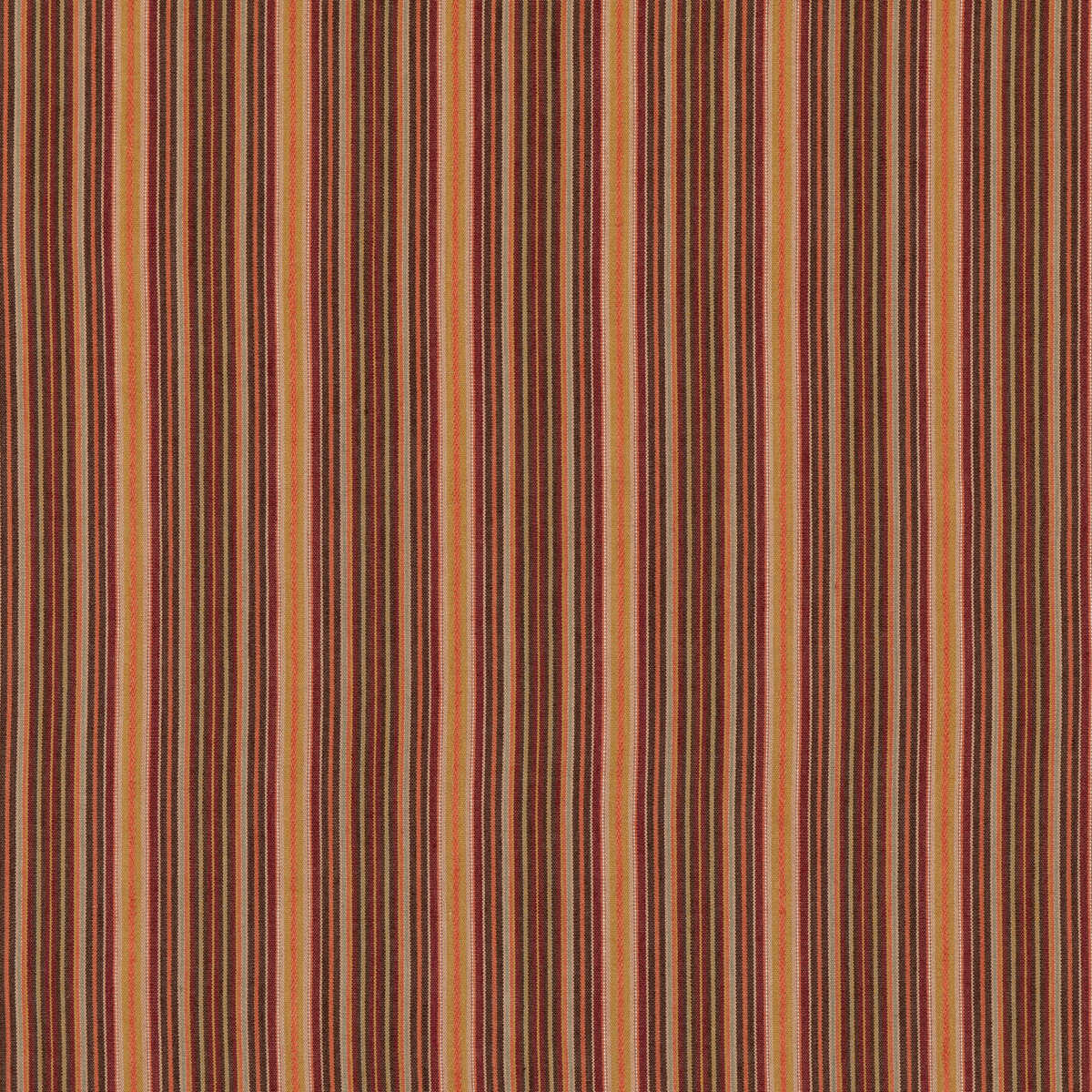 Falconer Stripe - Spice