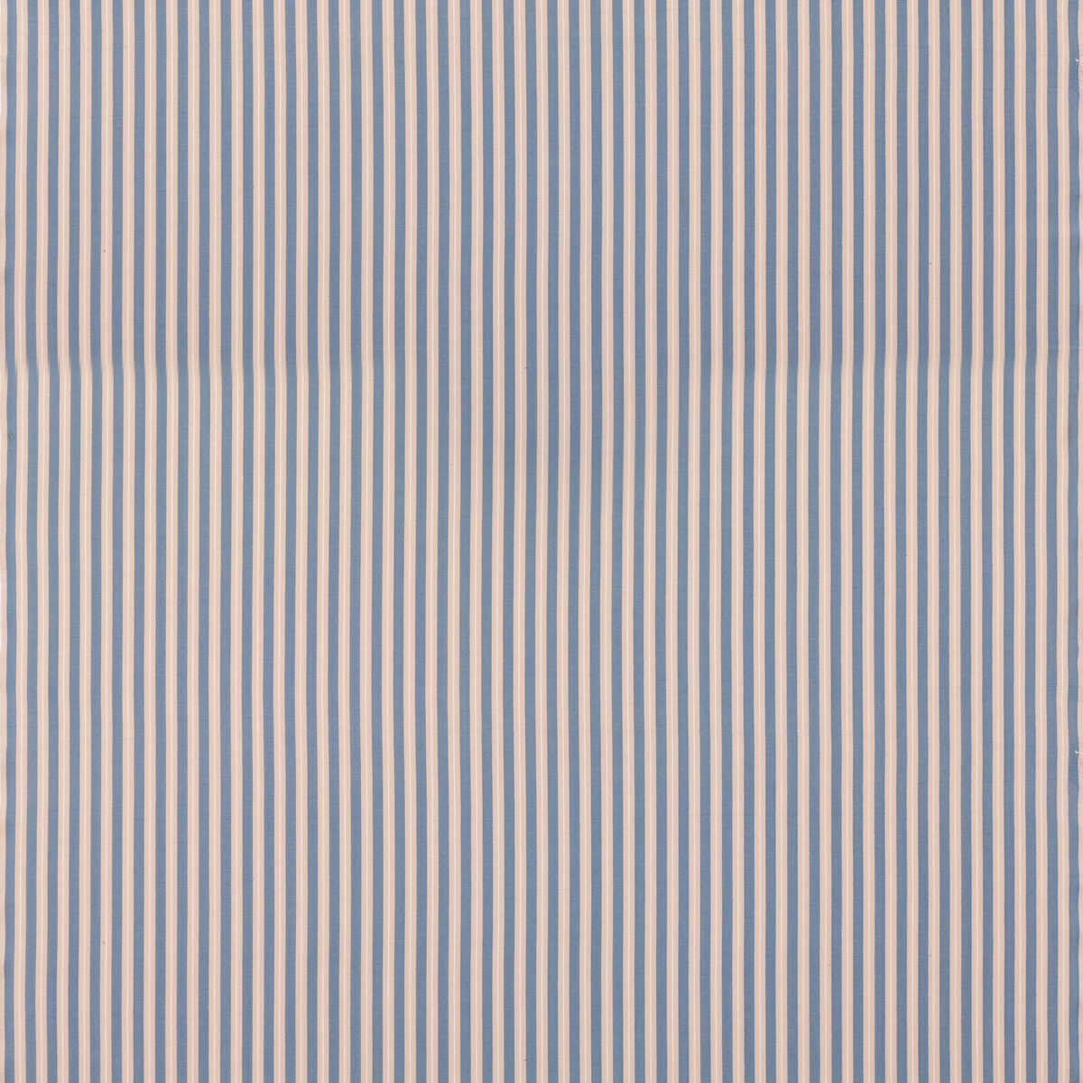 Compass Stripe - Blue