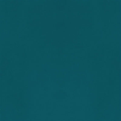 velluto-stretto-designers-guild-fdg2704-52