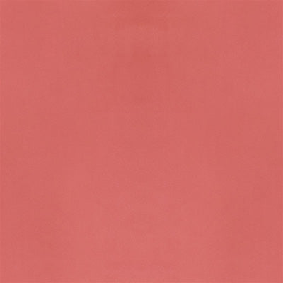 velluto-stretto-designers-guild-fdg2704-66