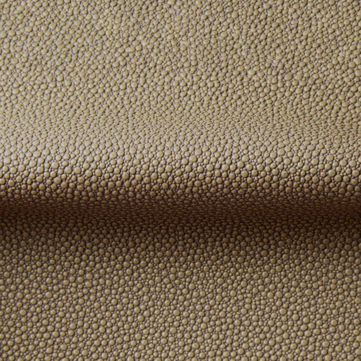 Fetch - Hemp - KRAVET CONTRACT Fabric