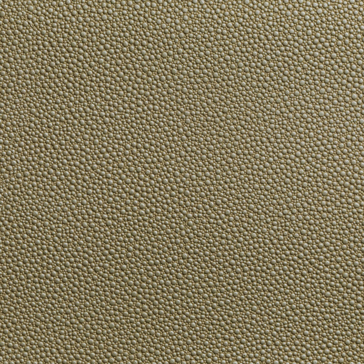 Fetch - Radiant - KRAVET CONTRACT Fabric