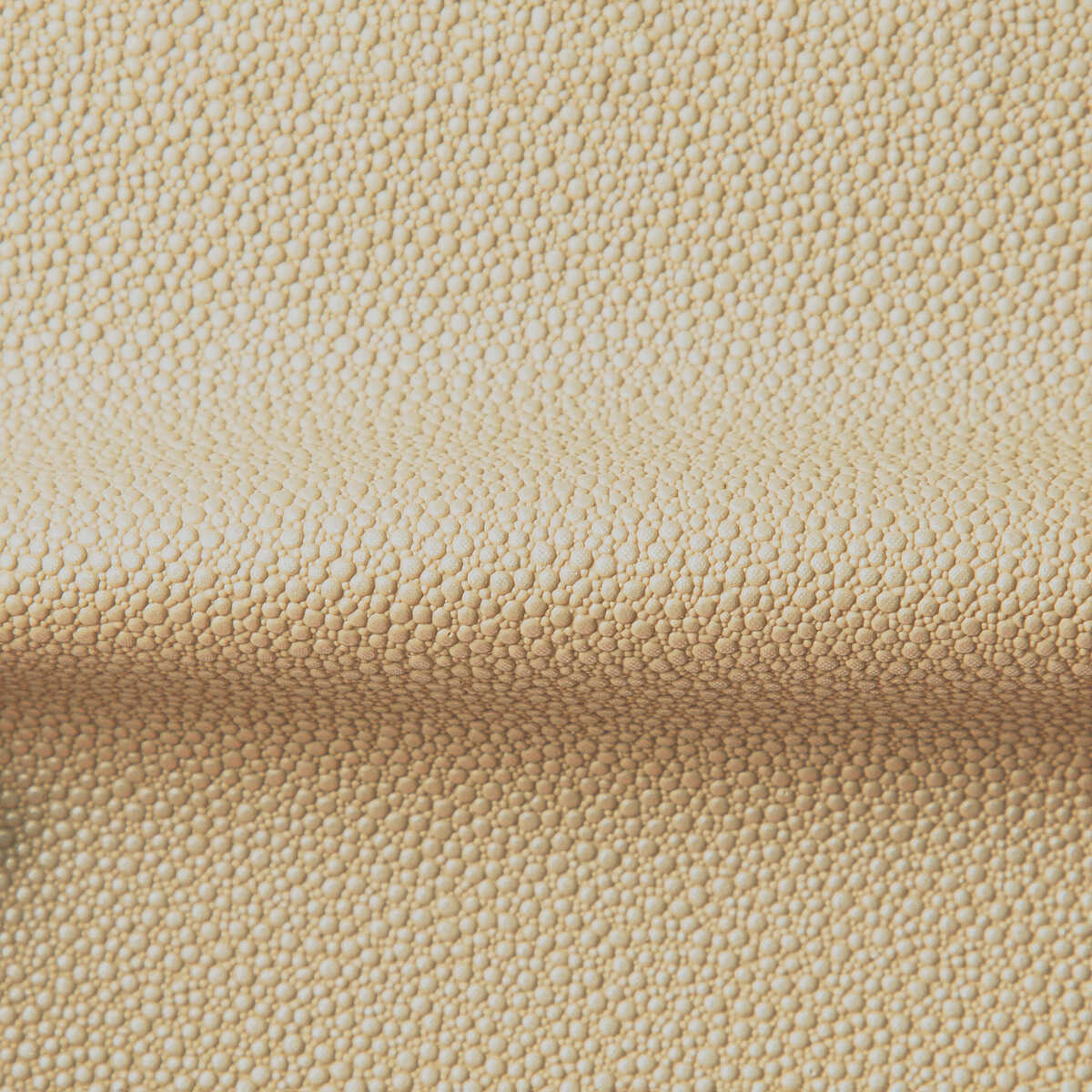 Fetch - Sandbar - KRAVET CONTRACT Fabric