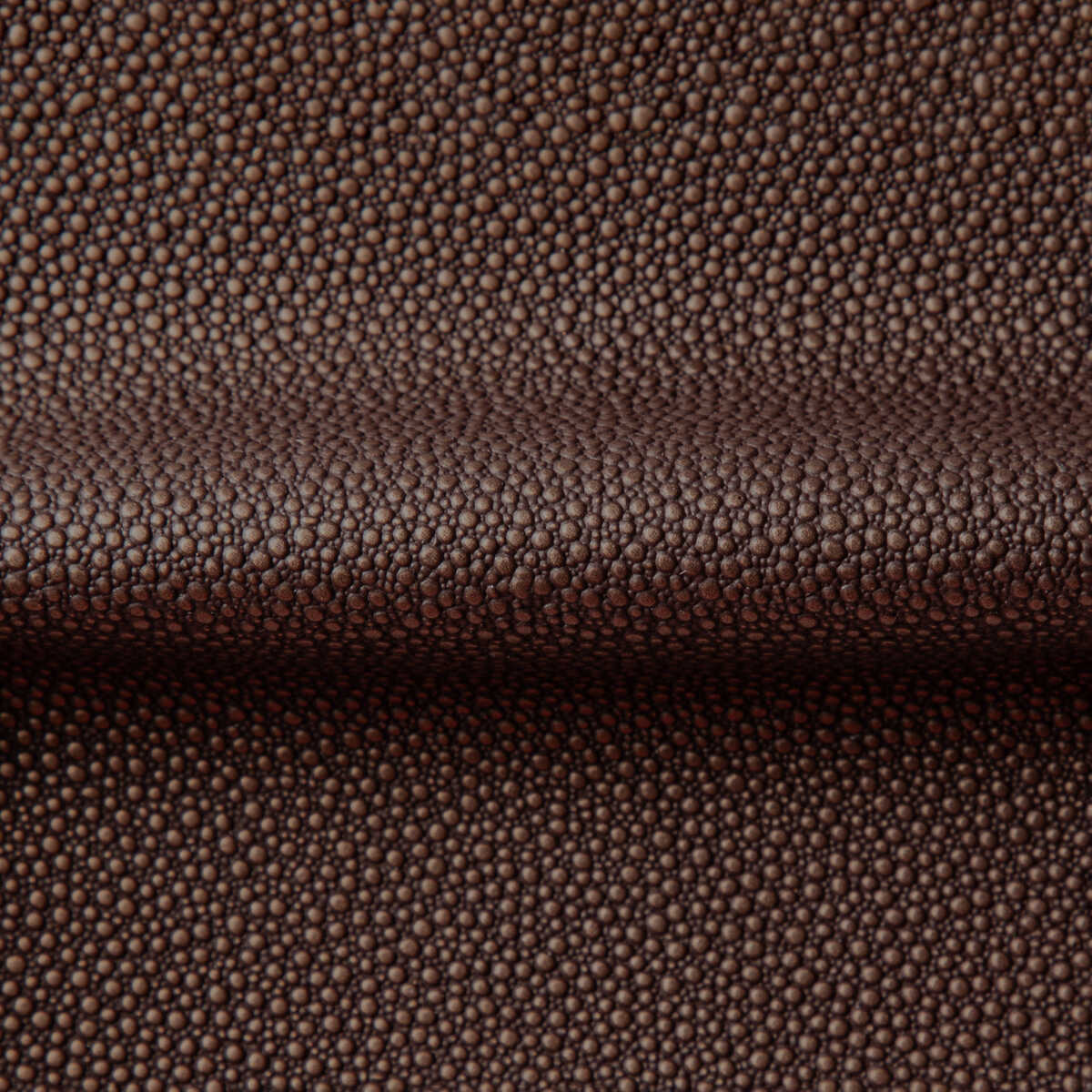 Fetch - Penny - KRAVET CONTRACT Fabric