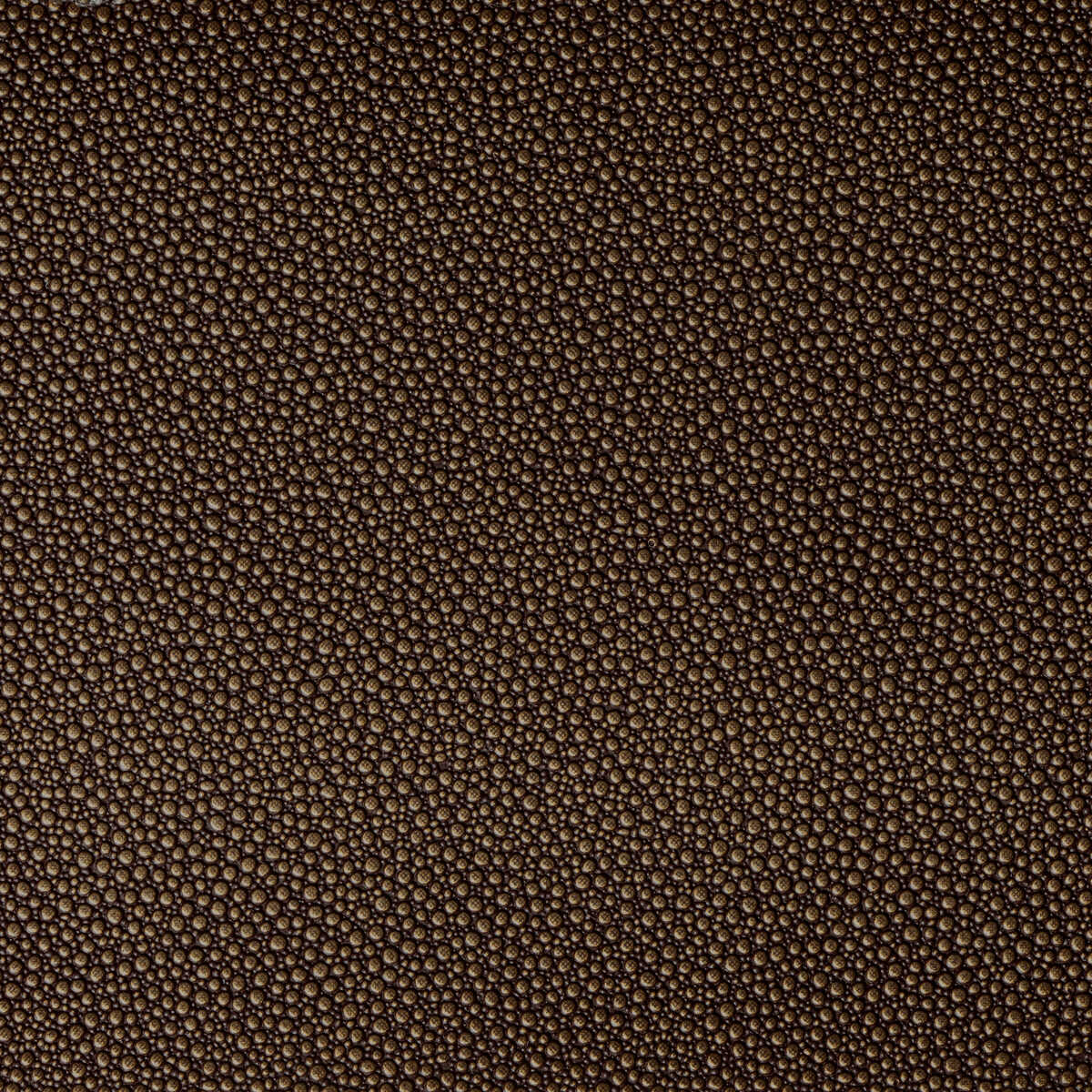 Fetch - Burnish - KRAVET CONTRACT Fabric