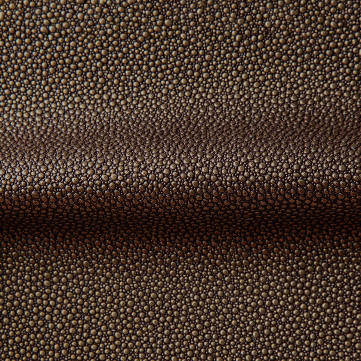 Fetch - Burnish - KRAVET CONTRACT Fabric